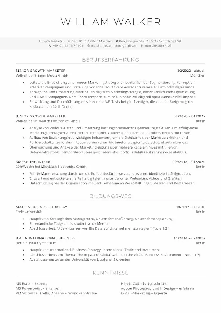 Stepstone Lebenslauf Generator