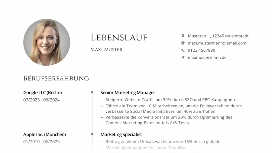 professioneller lebenslauf vorschau